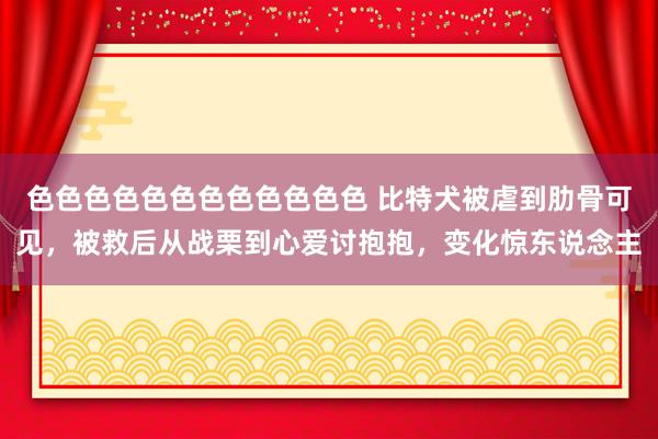 色色色色色色色色色色色色 比特犬被虐到肋骨可见，被救后从战栗到心爱讨抱抱，变化惊东说念主