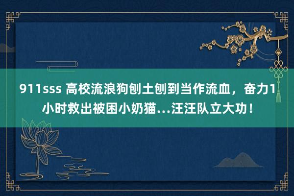 911sss 高校流浪狗刨土刨到当作流血，奋力1小时救出被困小奶猫…汪汪队立大功！
