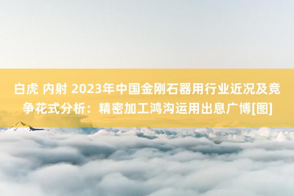 白虎 内射 2023年中国金刚石器用行业近况及竞争花式分析：精密加工鸿沟运用出息广博[图]