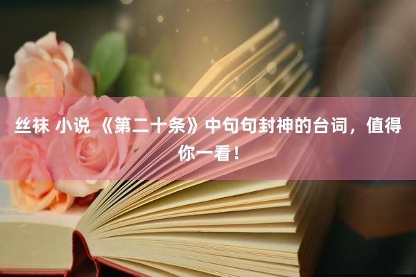 丝袜 小说 《第二十条》中句句封神的台词，值得你一看！