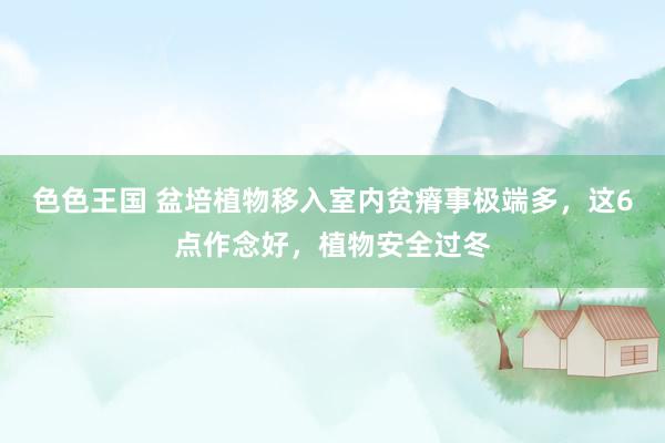 色色王国 盆培植物移入室内贫瘠事极端多，这6点作念好，植物安全过冬