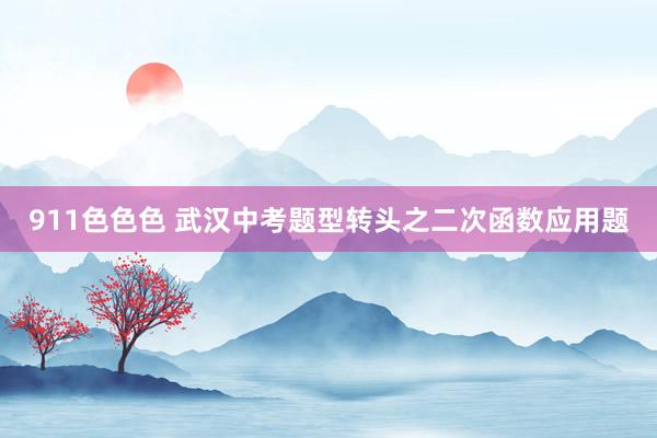 911色色色 武汉中考题型转头之二次函数应用题